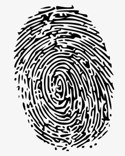 Clipart Transparent Background Fingerprint, HD Png Download, Free Download