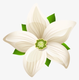 Large White Flower Transparent Png Clip Art Image, Png Download, Free Download