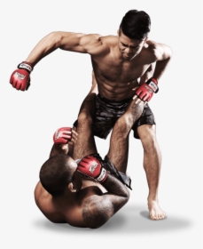 Mma Fight Png Picture - Mma Png, Transparent Png, Free Download