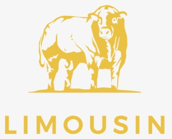 Limousin Cow Logo, HD Png Download, Free Download