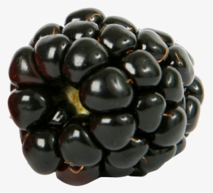 Blackberry Png - Blackberry Raspberry Png, Transparent Png, Free Download