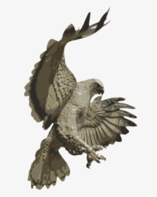 Falcons, Phoenix, Birds, Bird Flying, Eagle Bird, Vector - Laser Hawk, HD Png Download, Free Download