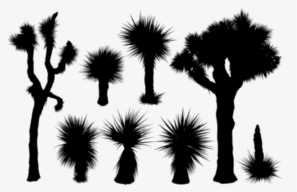 Yucca Silhouettes Vector - Joshua Tree Silhouette Vector, HD Png Download, Free Download
