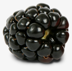 Blackberry Png - Black Raspberry Png, Transparent Png, Free Download