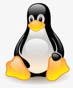 Penguin, Bird, Animal, Wildlife, Cold, Polar - Linux Security Png, Transparent Png, Free Download