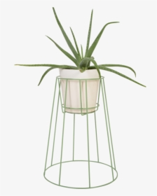 Medium Sea Green - Plant Stand, HD Png Download, Free Download