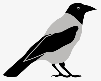 Clipart Crow By Rones Wikiclipart - Crow Black And White Clip Art, HD Png Download, Free Download