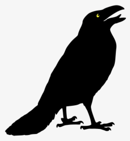 Clipart Of Crow Black And White, HD Png Download, Free Download