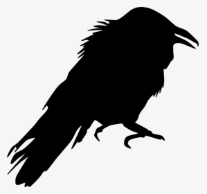 Crow Like Bird,wildlife,silhouette - Crow Silhouette Clip Art, HD Png Download, Free Download