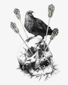 Skull Calavera Illustration Carlsberg Fjord Human Crow - Skeleton Of Crow Drawings, HD Png Download, Free Download