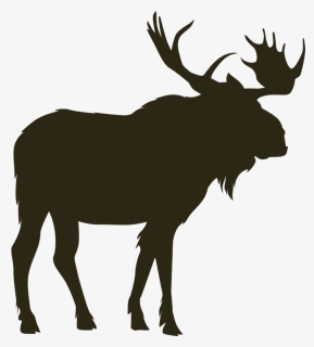 Deer Clipart Mountain - Moose Transparent Background, HD Png Download, Free Download