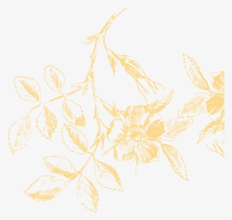 Florais Png, Transparent Png, Free Download