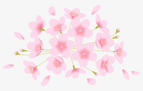 Cherry Blossoms Flower Clipart - Flowering Dogwood, HD Png Download, Free Download