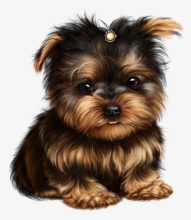 Transparent Yorkie Png - Yorkie Png, Png Download, Free Download