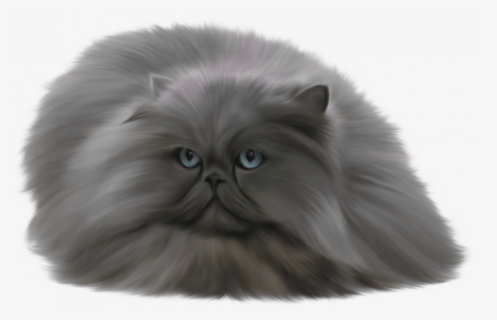 Cute Cat Png, Transparent Png, Free Download