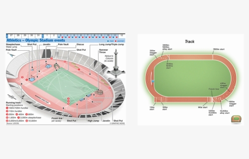Picture - Athletics Track And Field Dimensions, HD Png Download, Free Download