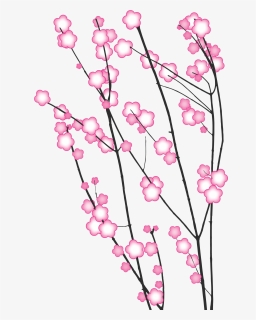 2 Image - Cherry Blossom, HD Png Download, Free Download