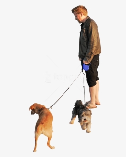 Dogs Beach Sunset Png - People Walking Dog Png, Transparent Png, Free Download