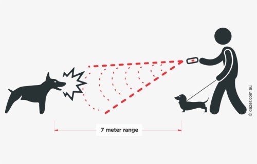 Dazer 7metre Range Withdogs - Dog Catches Something, HD Png Download, Free Download