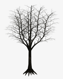 Dark Tree Png, Transparent Png, Free Download