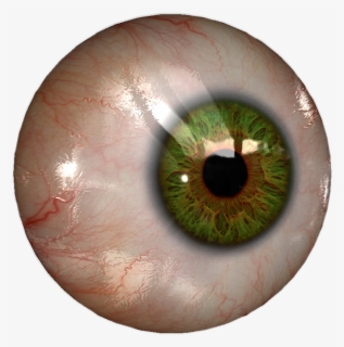Transparent Realistic Eye Png - Real Eyes, Png Download, Free Download