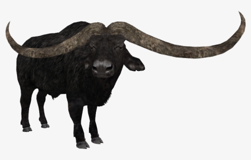 Transparent Buffalo Png - Tycoon Zoo Bison, Png Download, Free Download