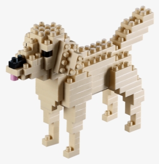 200 067 Golden Retriever - Pies Z Klocków Lego Duplo, HD Png Download, Free Download