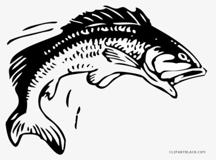 Transparent Fry Clipart - Cartoon Fish Jumping Out Of Water, HD Png Download, Free Download
