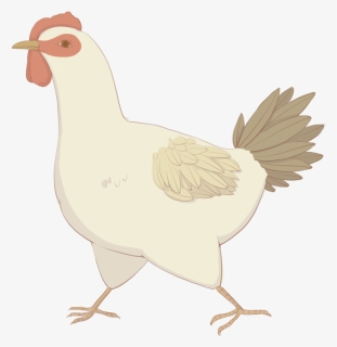 White Hen Png Photo Background - Broiler Chicken, Transparent Png - kindpng