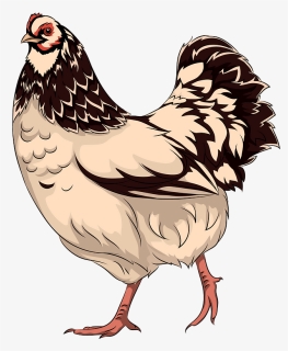 Hen Clipart Laid - Imagem De Galinha Em Desenho - Png Download