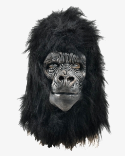Gorilla Masks, HD Png Download, Free Download