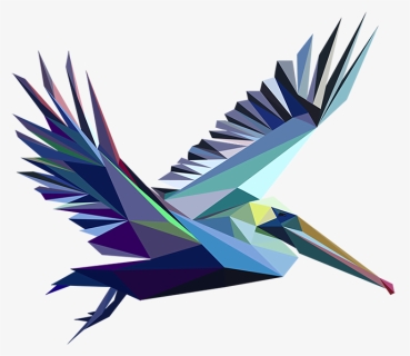 Pelican Fun Illustration Pelican - Swallow, HD Png Download, Free Download