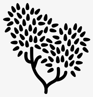 Tree With Leaves Foliage - Foliage Icon, HD Png Download, Free Download