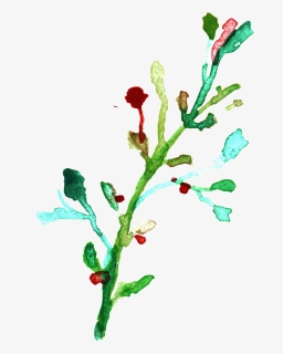 Png Transparente De Color Ramas De Flores Ornamentales - Twig, Png Download, Free Download