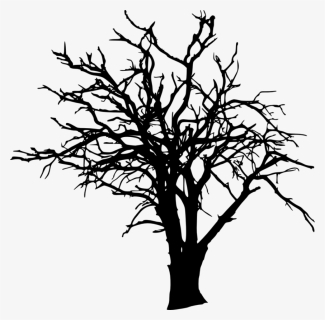 Free Png Bare Tree Silhouette Png Images Transparent - Twig Tree Silhouette, Png Download, Free Download