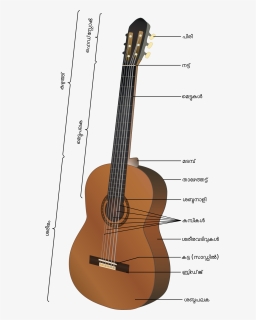 Guitar Structure, HD Png Download, Free Download