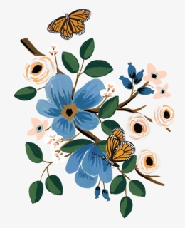 Rifle Paper Co Png - Rifle Paper Co Butterfly, Transparent Png, Free Download