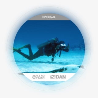 Learn More Specialty Courses - Padi, HD Png Download, Free Download