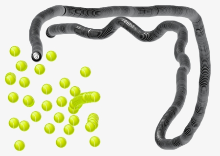 Common Kingsnake, HD Png Download, Free Download