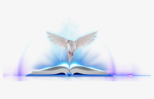 Open Book With Light, HD Png Download, Free Download