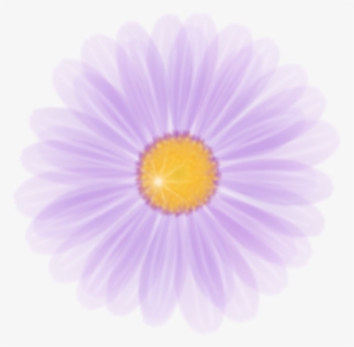 #daisy #blast #bloom #flower #border #flowers #white - Marguerite Daisy, HD Png Download, Free Download
