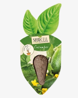 Seedcell Agurk Frø,bionedbrydelig Genbrugspap, HD Png Download, Free Download