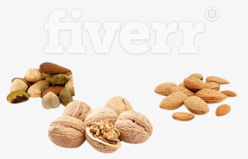 Nuts Vector Betel Nut - Mixed Nuts, HD Png Download, Free Download