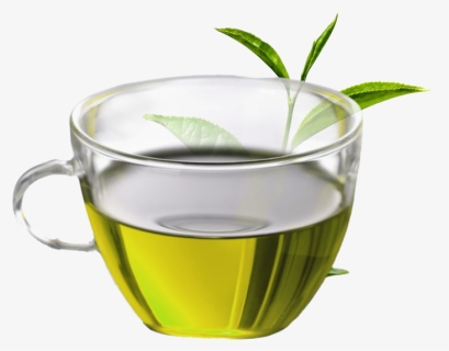 Oolong Tea Png - Green Tea Herbal Tea, Transparent Png, Free Download