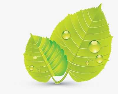 Design Free Logo Green Leaves Online Template - Illustration, HD Png Download, Free Download