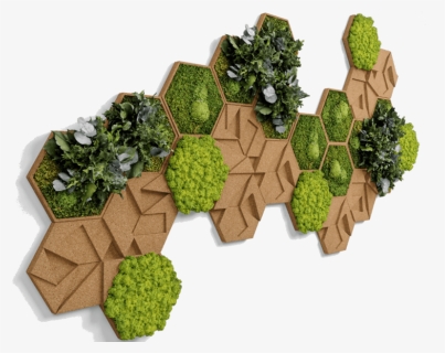 Nature Wall Decor, Alpine Moss Hexagons , Beautiful - Wall, HD Png Download, Free Download