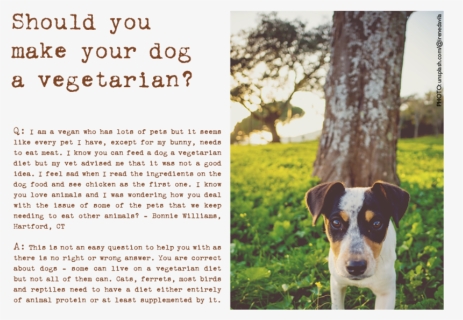 Dog Veg, HD Png Download, Free Download