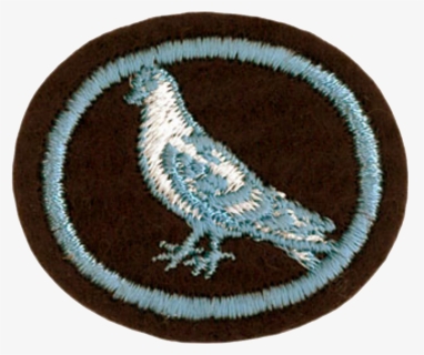Eagle, HD Png Download, Free Download