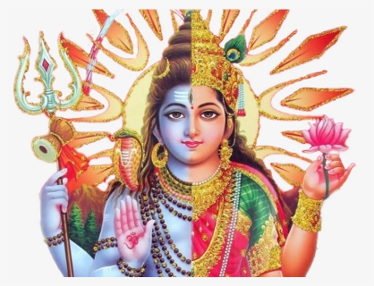 2 Mukhi Rudraksha Ardhnarishwar - Half Shiva Half Parvati Hd, HD Png Download, Free Download