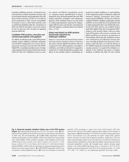 Document, HD Png Download, Free Download